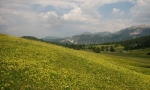 Armentarawiesen