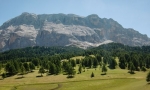 Armentarawiesen