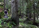Vorbei am Urwald