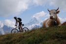 Dorfrunde Grindelwald