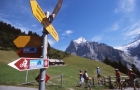 Oberhaus