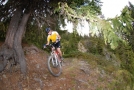 Apfelküchleintrail