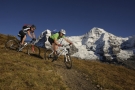 Lauberhorntrail