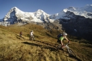 Lauberhorntrail