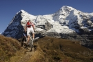 Lauberhorntrail