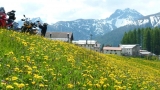 Schweizer Nationalpark Runde